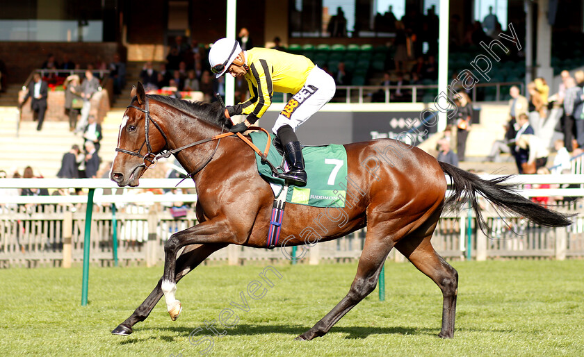 Pretty-Pollyanna-0001 
 PRETTY POLLYANNA (Silvestre De Sousa)
Newmarket 29 Sep 2018 - Pic Steven Cargill / Racingfotos.com