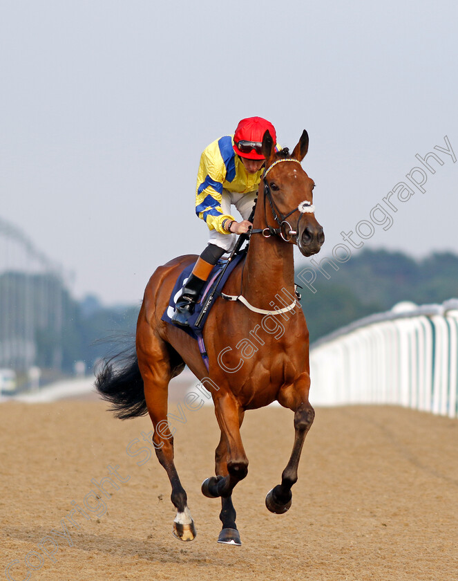 Poptronic-0003 
 POPTRONIC (Sam James) winner of The Jenningsbet Hoppings Fillies Stakes
Newcastle 24 Jun 2022 - Pic Steven Cargill / Racingfotos.com