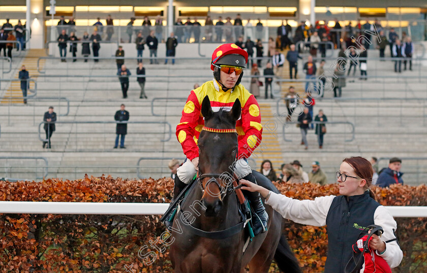 Block-Rockin-Beats-0001 
 BLOCK ROCKIN BEATS (Gavin Sheehan)
Cheltenham 17 Nov 2024 - Pic Steven Cargill / Racingfotos.com