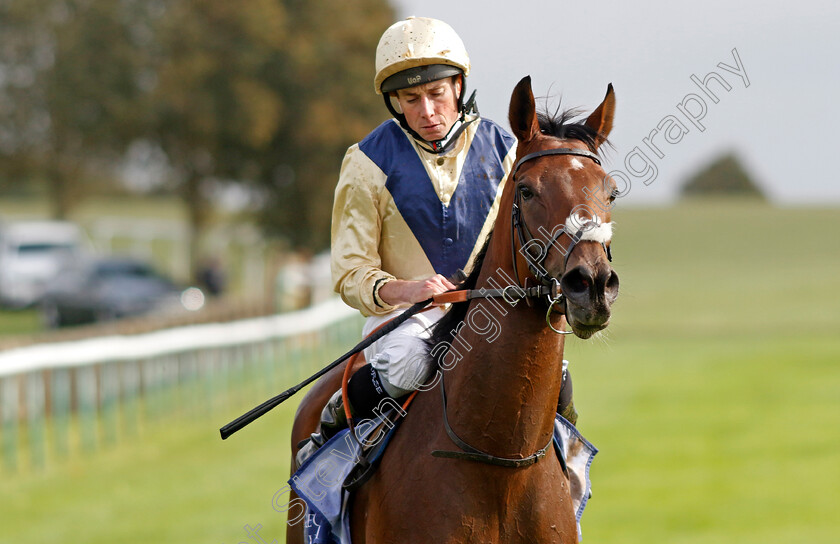 Sirona-0009 
 SIRONA (Ryan Moore) winner of The Al Basti Equiworld Dubai British EBF Rosemary Stakes
Newmarket 27 Sep 2024 - Pic Steven Cargill / Racingfotos.com