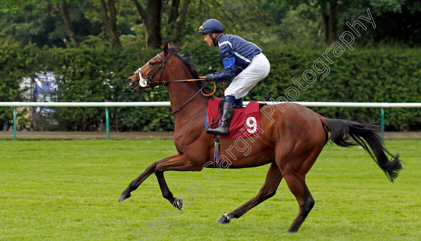 Golspie-0001 
 GOLSPIE (Jim Crowley)
Haydock 24 May 2024 - Pic Steven cargill / Racingfotos.com