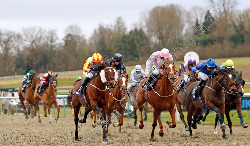 The-Conqueror-0005 
 THE CONQUEROR (left, Ethan Jones) beats FRAVANCO (centre) in The Boost Your Acca-Fenwa With BetUk Handicap
Lingfield 23 Dec 2023 - Pic Steven Cargill / Racingfotos.com