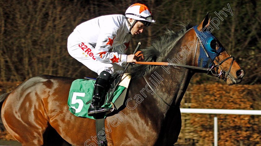 Gronkowski-0001 
 GRONKOWSKI (Jamie Spencer) before winning The Road To The Kentucky Derby Conditions Stakes Kempton 7 Mar 2018 - Pic Steven Cargill / Racingfotos.com