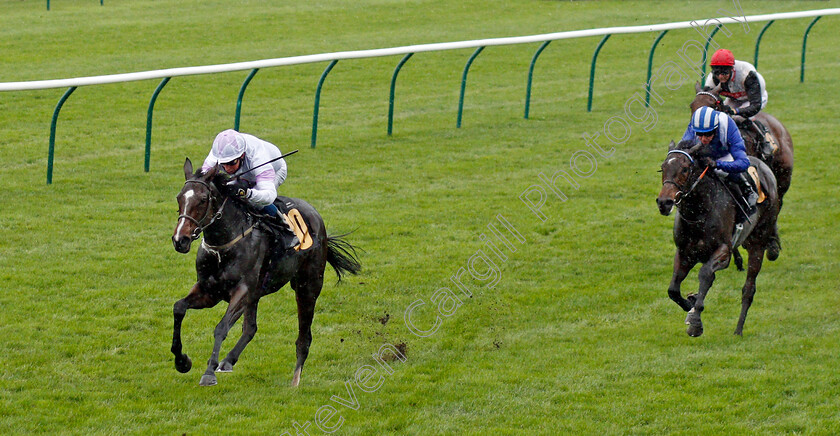 Urban-Violet-0002 
 URBAN VIOLET (William Buick) beats TARHIB (right) in The Prestige Vehicles British EBF Fillies Novice Stakes Div1
Newmarket 31 Oct 2020 - Pic Steven Cargill / Racingfotos.com