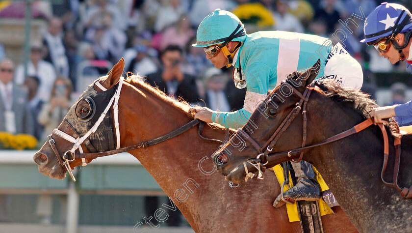 British-Idiom-0009 
 BRITISH IDIOM (Javier Castellano) wins The Breeders' Cup Juvenile Fillies
Santa Anita USA 1 Nov 2019 - Pic Steven Cargill / Racingfotos.com