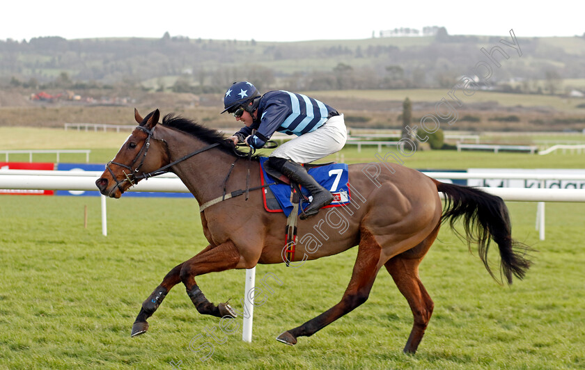 Ney-0003 
 NEY (Kieren Buckley) wins The Sky Bet Beginners Chase
Punchestown 12 Jan 2025 - Pic Steven Cargill / Racingfotos.com