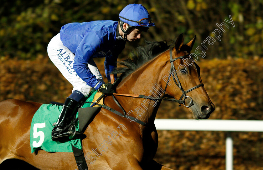 Open-Sea-0001 
 OPEN SEA (Oisin Murphy)
Kempton 21 Nov 2018 - Pic Steven Cargill / Racingfotos.com