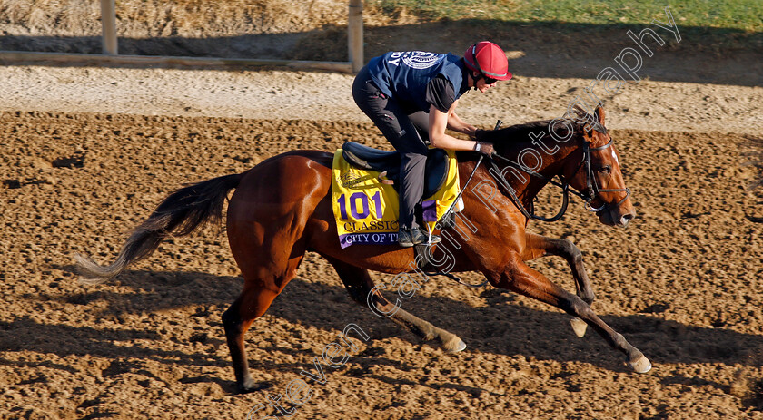 City-Of-Troy-0002 
 CITY OF TROY training for the Breeders' Cup Classic
Del Mar USA 30 Oct 2024 - Pic Steven Cargill / Racingfotos.com