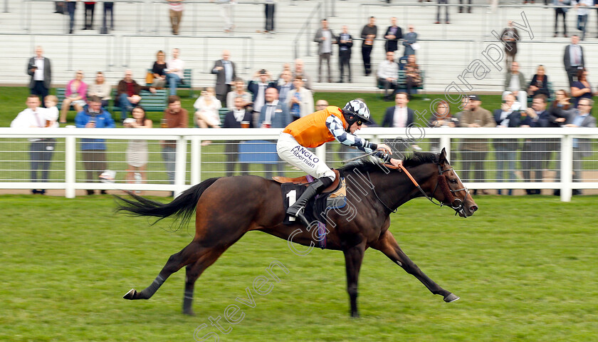 Cliffs-Of-Capri-0005 
 CLIFFS OF CAPRI (Alex Ferguson) wins The Amateur Jockeys Association Handicap
Ascot 5 Oct 2018 - Pic Steven Cargill / Racingfotos.com