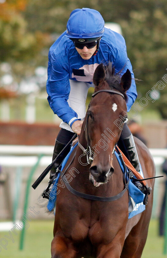 Red-N-Blue-Candy-0001 
 RED N BLUE CANDY (Richard Kingscote)
Newmarket 7 Oct 2022 - Pic Steven Cargill / Racingfotos.com