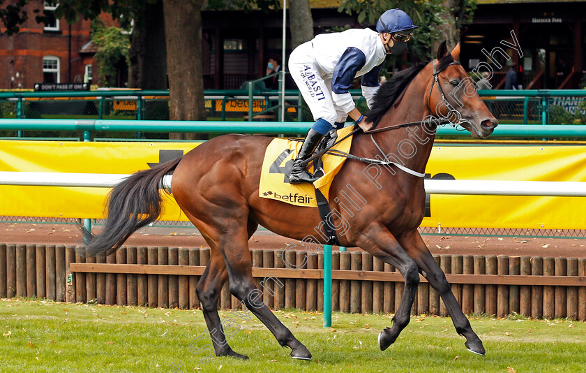 Hello-Youmzain-0001 
 HELLO YOUMZAIN (Kevin Stott)
Haydock 5 Sep 2020 - Pic Steven Cargill / Racingfotos.com