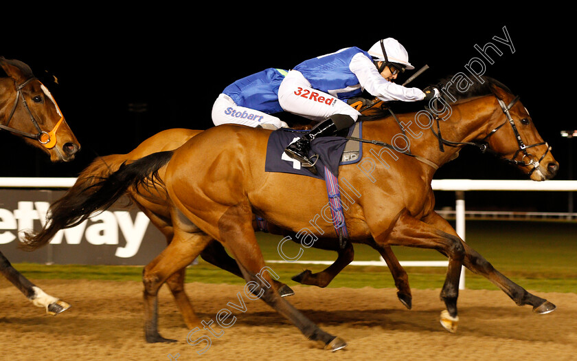 Humbert-0004 
 HUMBERT (Josephine Gordon) wins The sunbets.co.uk Handicap Wolverhampton 15 Jan 2018 - Pic Steven Cargill / Racingfotos.com