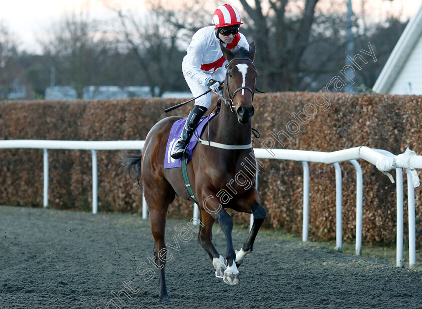 Distant-Mirage-0001 
 DISTANT MIRAGE (Robert Havlin)
Kempton 12 Dec 2018 - Pic Steven Cargill / Racingfotos.com