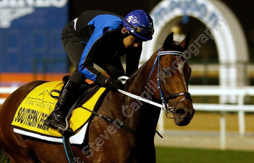 Southern-Legend-0001 
 SOUTHERN LEGEND training for the Dubai Turf
Meydan 27 Mar 2019 - Pic Steven Cargill / Racingfotos.com