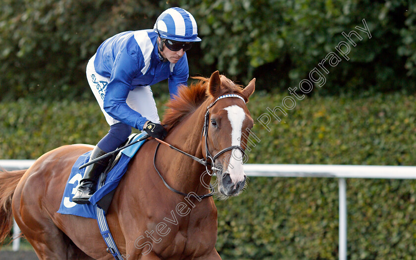 Bayraq-0002 
 BAYRAQ (Jim Crowley) winner of The Unibet / British Stallion Studs EBF Novice Stakes
Kempton 6 Oct 2021 - Pic Steven Cargill / Racingfotos.com