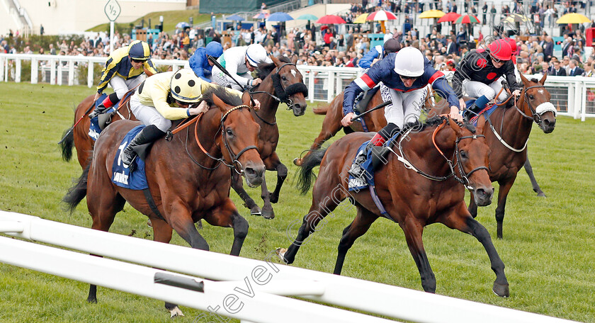 Apparate-0001 
 APPARATE (left, Rossa Ryan) beats PERSIAN MOON (right) in The Lavazza Handicap
Ascot 7 Sep 2019 - Pic Steven Cargill / Racingfotos.com