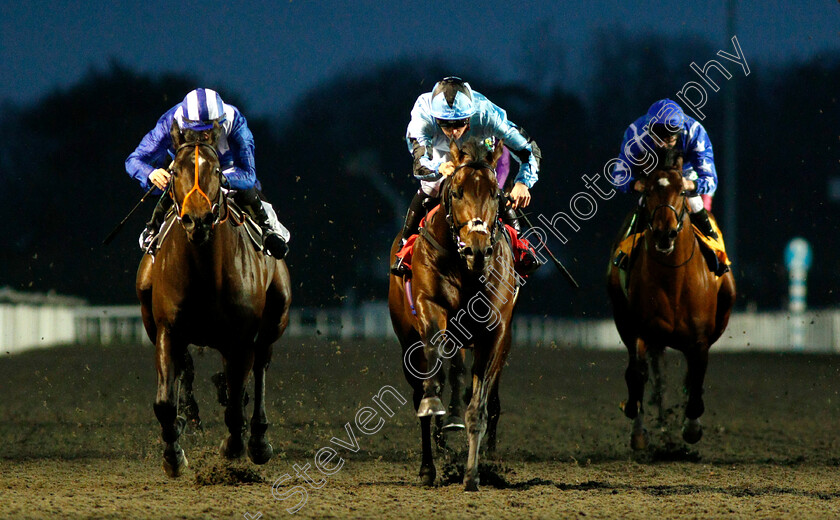 James-Street-0003 
 JAMES STREET (centre, Jason Watson) beats MOLAAHETH (left) in The 32Red Casino British Stallion Studs EBF Novice Stakes Div1
Kempton 5 Dec 2018 - Pic Steven Cargill / Racingfotos.com