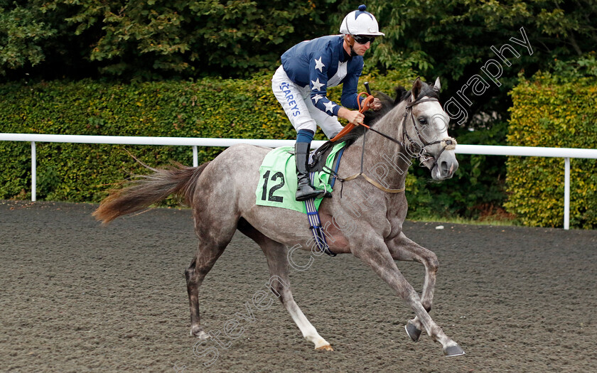 Restricted-0001 
 RESTRICTED (Joey Haynes)
Kempton 8 Sep 2023 - Pic Steven Cargill / Racingfotos.com