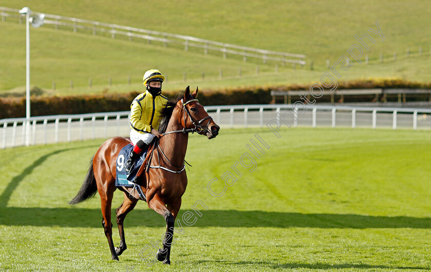 With-Thanks-0001 
 WITH THANKS (Cieren Fallon)
Goodwood 11 Oct 2020 - Pic Steven Cargill / Racingfotos.com