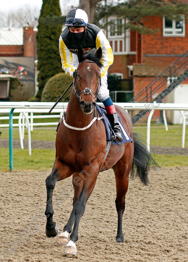 Breath-Of-Sun-0001 
 BREATH OF SUN (Adam Kirby) winner of The Betway Novice Stakes
Lingfield 6 Mar 2021 - Pic Steven Cargill / Racingfotos.com