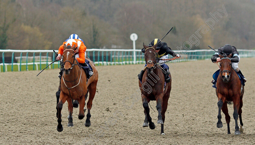 Goring-0002 
 GORING (left, Charles Bishop) beats SPIRIT WARNING (centre) and ZHUI FENG (right) in The Bombardier March To Your Own Drum Handicap
Lingfield 22 Feb 2020 - Pic Steven Cargill / Racingfotos.com