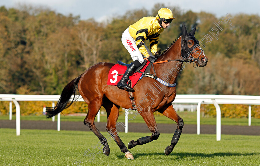 Saxo-Jack-0001 
 SAXO JACK (Paddy Brennan) Kempton 22 Oct 2017 - Pic Steven Cargill / Racingfotos.com