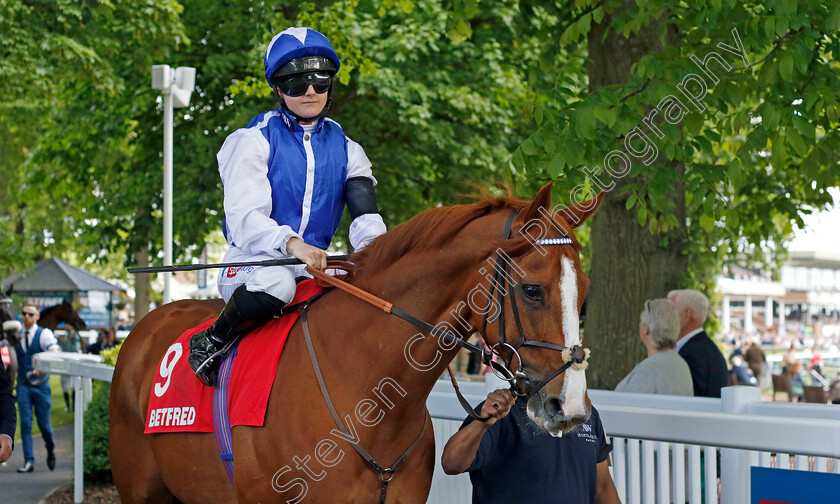 Tabdeed 
 TABDEED (Hollie Doyle)
Haydock 28 May 2022 - Pic Steven Cargill / Racingfotos.com