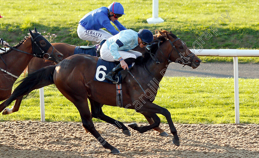 Luxor-0002 
 LUXOR (James Doyle) wins The Hellermanntyon Fixings Maiden Stakes
Wolverhampton 5 Sep 2018 - Pic Steven Cargill / Racingfotos.com