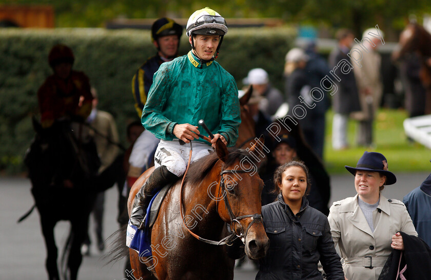 Hereby-0007 
 HEREBY (Harry Bentley) after The Londonmetric Noel Murless Stakes
Ascot 4 Oct 2019 - Pic Steven Cargill / Racingfotos.com