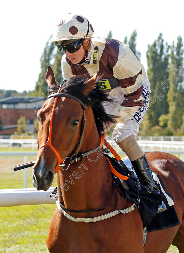 Vintage-Port-0001 
 VINTAGE PORT (David Probert)
Newbury 20 Sep 2019 - Pic Steven Cargill / Racingfotos.com