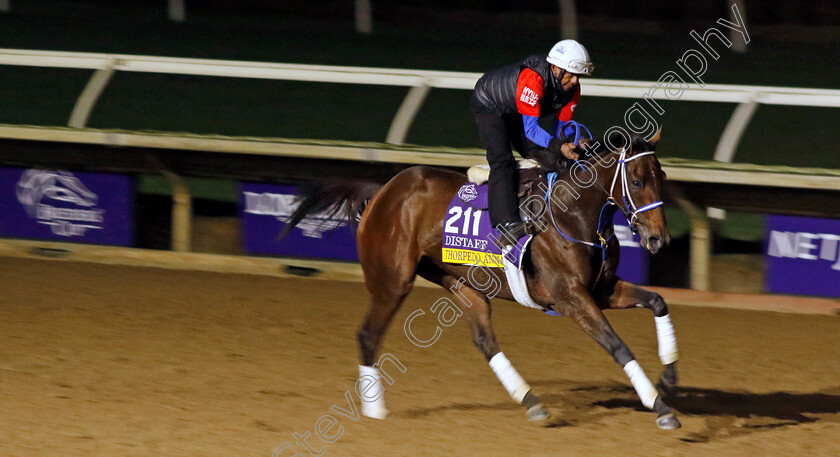 Thorpedo-Anna-0001 
 THORPEDO ANNA training for the Breeders' Cup Distaff
Del Mar USA 30 Oct 2024 - Pic Steven Cargill / Racingfotos.com