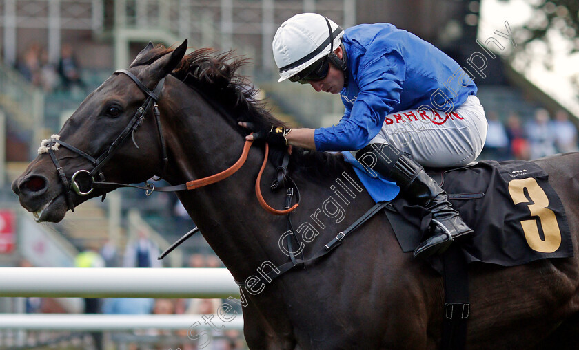 Volcanic-Sky-0005 
 VOLCANIC SKY (Tom Marquand) wins The Rich Energy Powering You Handicap
Newmarket 6 Aug 2021 - Pic Steven Cargill / Racingfotos.com