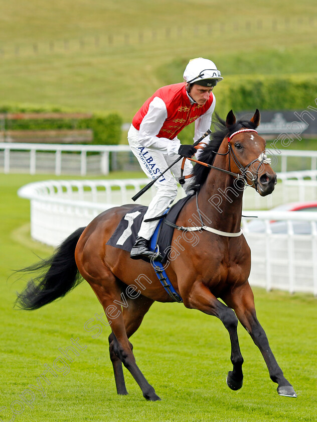 Kaasib 
 KAASIB (Adam Kirby)
Goodwood 20 May 2022 - Pic Steven Cargill / Racingfotos.com