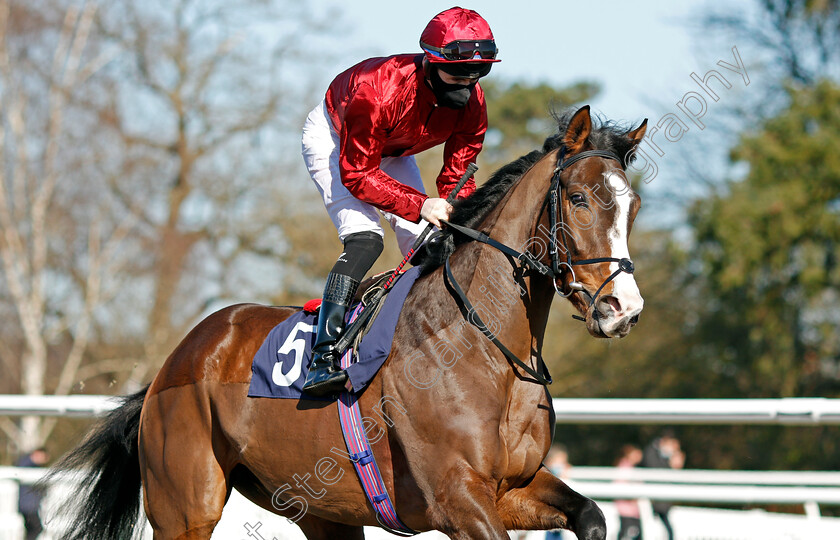 Mister-Blue-0001 
 MISTER BLUE (Dylan Hogan)
Lingfield 26 Feb 2021 - Pic Steven Cargill / Racingfotos.com