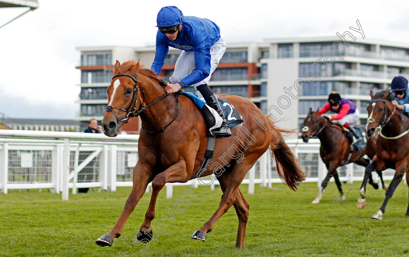 Creative-Force-0005 
 CREATIVE FORCE (James Doyle) wins The BetVictor Carnarvon Stakes
Newbury 15 May 2021 - Pic Steven Cargill / Racingfotos.com