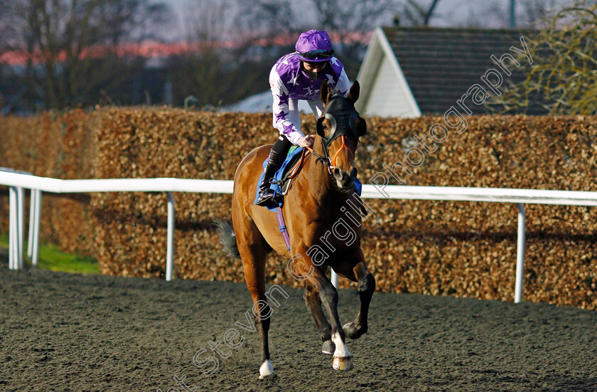 Babajan-0001 
 BABAJAN (Rossa Ryan)
Kempton 24 Feb 2021 - Pic Steven Cargill / Racingfotos.com