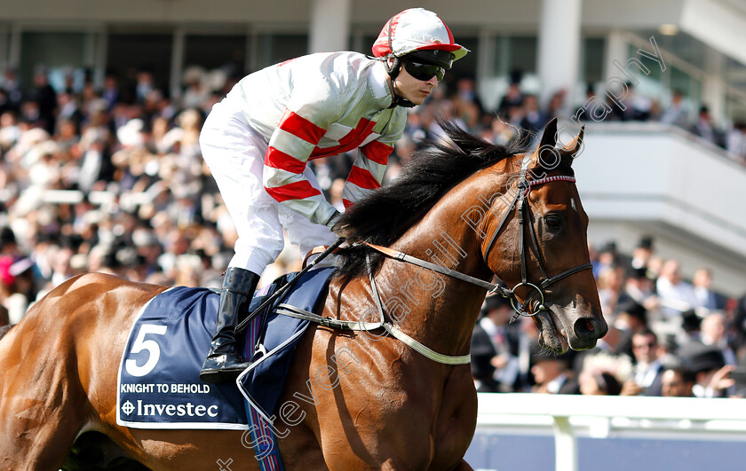 Knight-To-Behold-0003 
 KNIGHT TO BEHOLD (Richard Kingscote)
Epsom 2 Jun 2018 - Pic Steven Cargill / Racingfotos.com