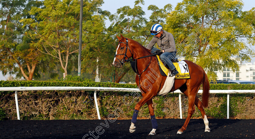 Mohaafeth-0009 
 MOHAAFETH (Jim Crowley) training for The Dubai Turf
Meydan, Dubai, 24 Mar 2022 - Pic Steven Cargill / Racingfotos.com