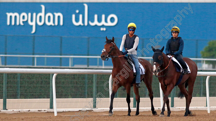 Drink-Dry-and-Onigiri-0001 
 DRINK DRY (left, Lucie Botti) with ONIGIRI (right) training at the Dubai Racing Carnival
Meydan 4 Jan 2024 - Pic Steven Cargill / Racingfotos.com