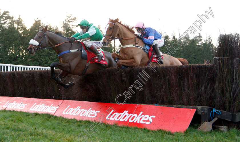 Thomas-Patrick-0004 
 THOMAS PATRICK (left, Richard Johnson) with DINGO DOLLAR (right)
Newbury 1 Dec 2018 - Pic Steven Cargill / Racingfotos.com