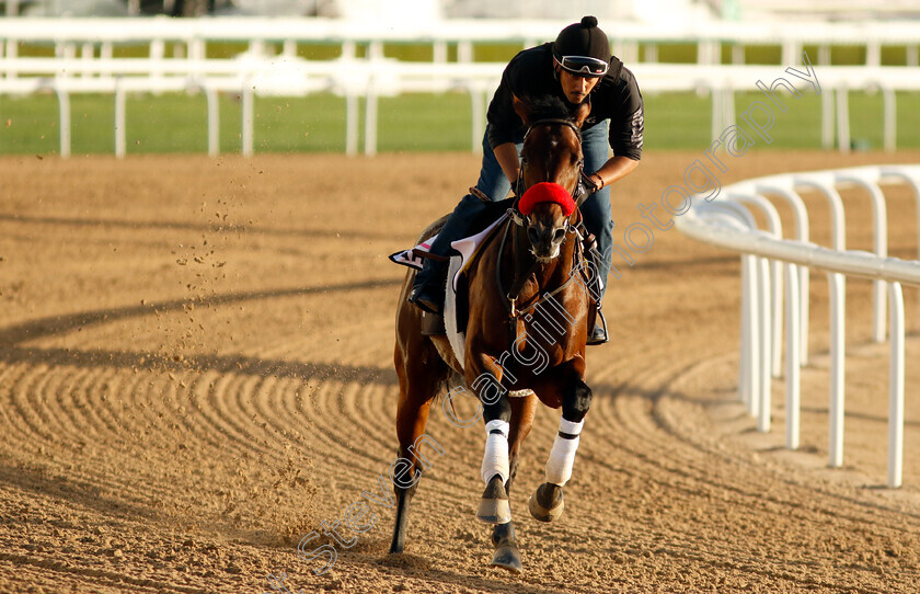 Ah-Jeez-0001 
 AH JEEZ training for The UAE Derby
Meydan, Dubai, 22 Mar 2023 - Pic Steven Cargill / Racingfotos.com