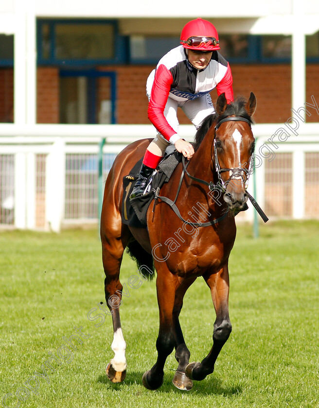 Caesar s-Palace 
 CAESAR'S PALACE (Andrea Atzeni)
Nottingham 13 Oct 2021 - Pic Steven Cargill / Racingfotos.com