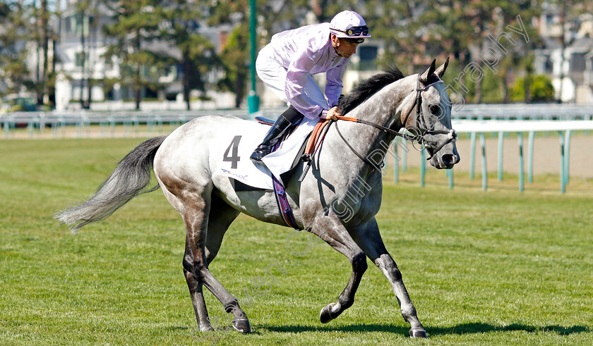 Garrus-0003 
 GARRUS (I Mendizabal)
Deauville 7 Aug 2022 - Pic Steven Cargill / Racingfotos.com