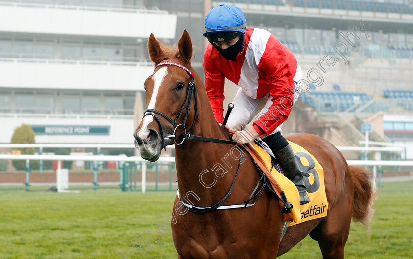 Ice-Sprite-0001 
 ICE SPRITE (Tom Marquand)
Doncaster 7 Nov 2020 - Pic Steven Cargill / Racingfotos.com