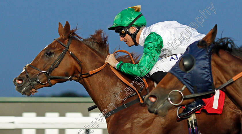 Kuwait-Currency-0005 
 KUWAIT CURRENCY (Pat Dobbs) wins The 32Red Handicap
Kempton 2 Oct 2019 - Pic Steven Cargill / Racingfotos.com