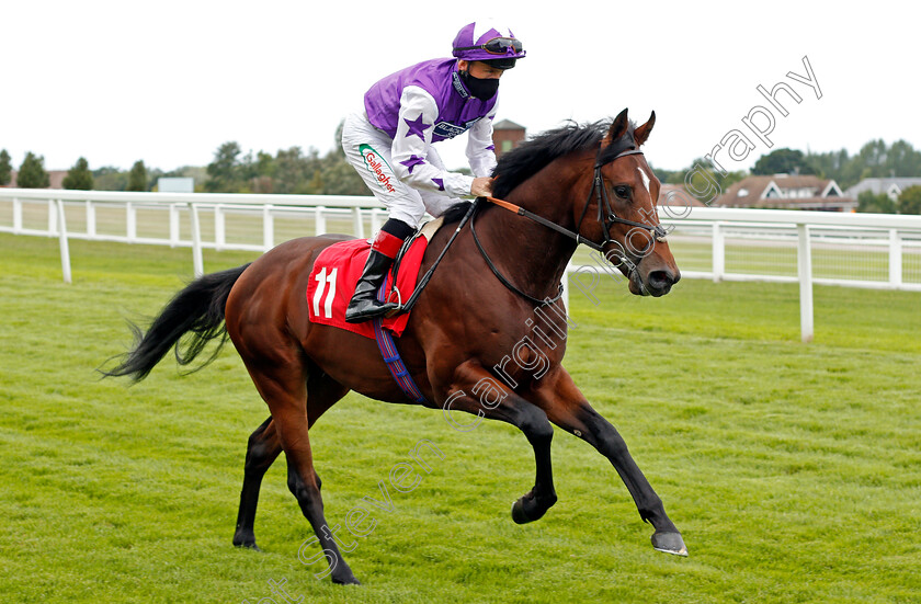 No-Day-Never-0001 
 NO DAY NEVER (Shane Kelly)
Sandown 23 Aug 2020 - Pic Steven Cargill / Racingfotos.com