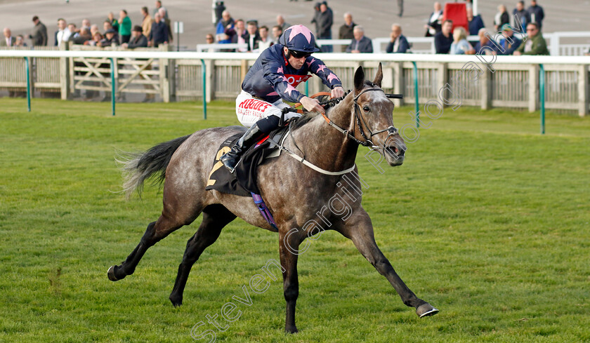 Don t-Tell-Claire-0003 
 DON'T TELL CLAIRE (Jack Mitchell) wins The Racing TV Fillies Handicap
Newmarket 19 Oct 2022 - Pic Steven Cargill / Racingfotos.com