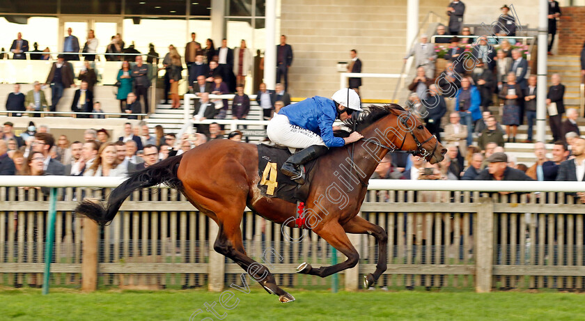 Ottoman-Fleet-0003 
 OTTOMAN FLEET (Ryan Moore) wins The National Stud Welcomes Stradivarius James Seymour Stakes
Newmarket 29 Oct 2022 - Pic Steven Cargill / Racingfotos.com