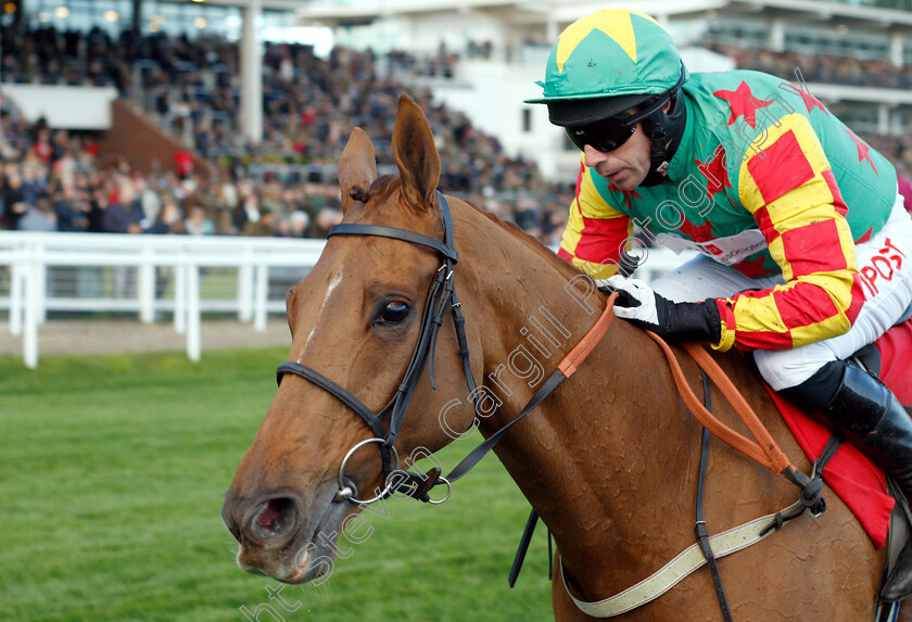 Lil-Rockerfeller-0004 
 LIL ROCKERFELLER (Wayne Hutchinson) wins The Matchbook Time To Move Over Novices Chase
Cheltenham 26 Oct 2018 - Pic Steven Cargill / Racingfotos.com