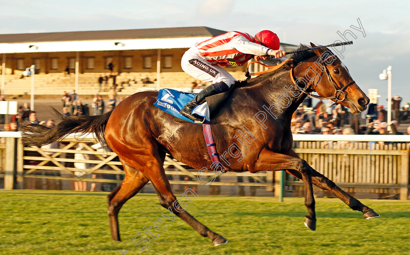 Chain-Of-Daisies-0004 
 CHAIN OF DAISIES (Harry Bentley) wins The Join Club Godolphin Pride Stakes Newmarket 13 Oct 2017 - Pic Steven Cargill / Racingfotos.com